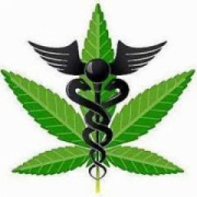 RIVERSIDE CANNABIS CONSULTANTS