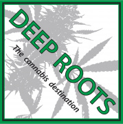 Deep Roots Cannabis