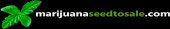 MarijuanaSeedToSale.com