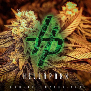 Hellapaxx