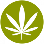 Green Dragon Caregivers, Inc.