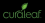 Curaleaf Holdings Inc