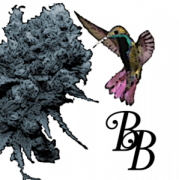 Brave Bird Consulting