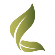 The Leaf on El Paseo