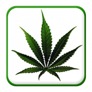 Dr. Reefer Is Cheaper!