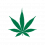 Marijuana SEO