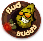 BUD BUDDY