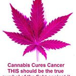 Forbidden Fruits Detroit