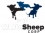 White Sheep Corp