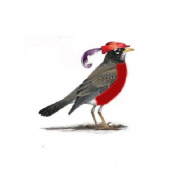 MMMP Certifications & Renewals in Ann Arbor MI