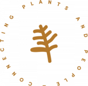 Filigreen Distribution