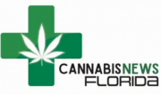 Cannabis News Florida 2020