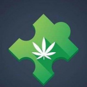Medical Marijuana Program Connection