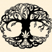 Homegrown The Offering