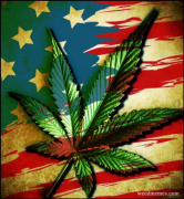 Apothecary Genetics - Lake Elsinore