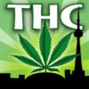 Toronto Hemp