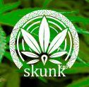 Skunk CBD