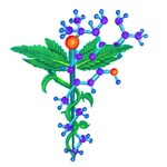 Herbal Elements Inc.