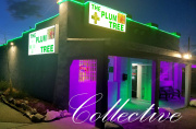 The Plum Tree Collective