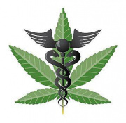M.D. Cann. Medical