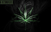 Marijuana007