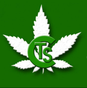 Top Shelf Collective