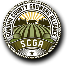 SCG Organization, Inc.