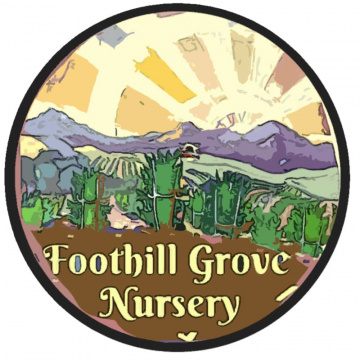 Foothill Grove Nursery