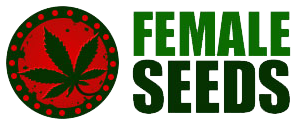 female-seeds.co.uk