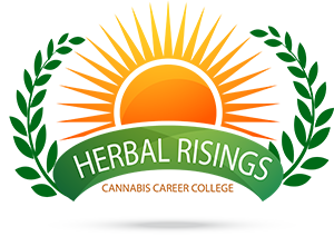 Herbal Risings