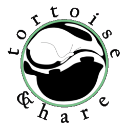 Tortoise & Hare Delivery Services