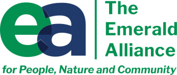 EMERALD ALLIANCE GROUP