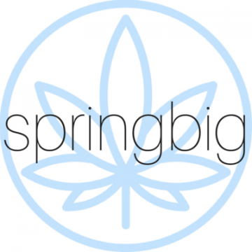 Springbig