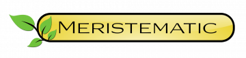MERISTEMATIC LABS