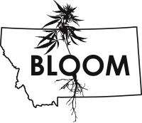 Bloom - Billings