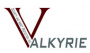 Valkyrie Security and Asset Protection Inc.
