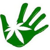 NaturaLeaf Palmer Park