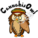 Cannabis Owl