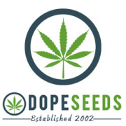 dope-seeds.com
