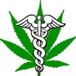 Medical Marijuana Certification Lydia Kapell MD