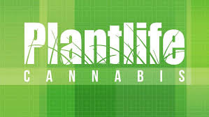 Plantlife Dispensary