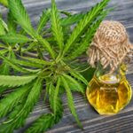 Professor Sage & Dr. Green's Emporium Apothecary