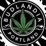 Budlandia - Division St.