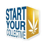 Start Your Collective