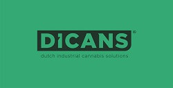 Dicans