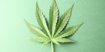 Suncoast Family Medicine