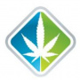 Institute of Medical Cannabis