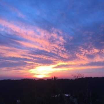 Ocean View Cannabis LLC