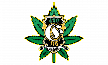 Evol Ways Inc Design Firm