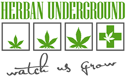 Herban Underground - Medical